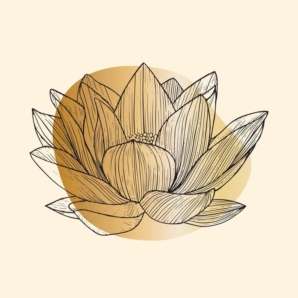 Blumenlotus mit Farbfleck. Lotus Strichzeichnungen. Vektor-Illustration. vektor