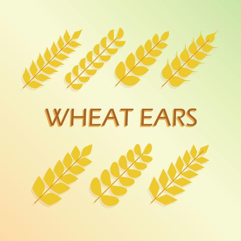 Freie Weizen-Ohren-Vektor vektor