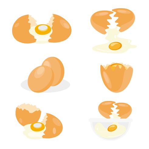 Kostenlose Broken Chicken Egg Vector