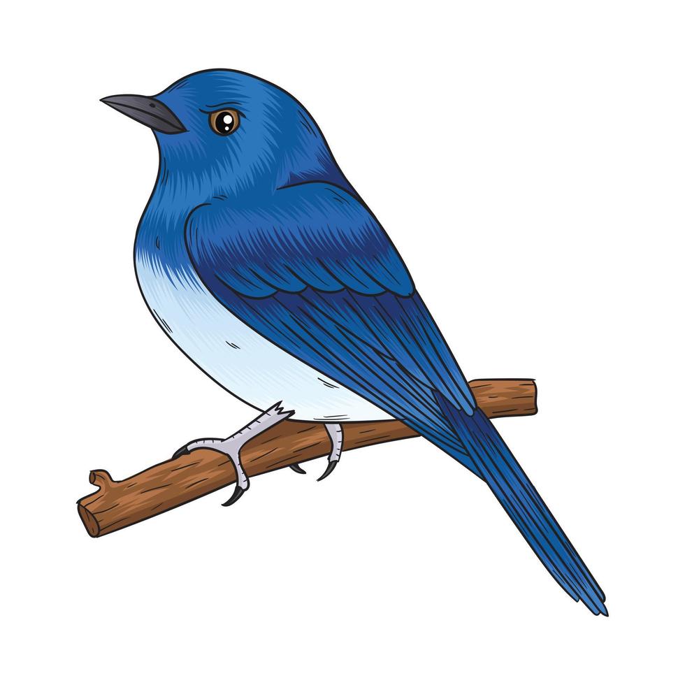 Vektorblauer Vogel, ein Vogel in einer schönen blauen Farbe vektor