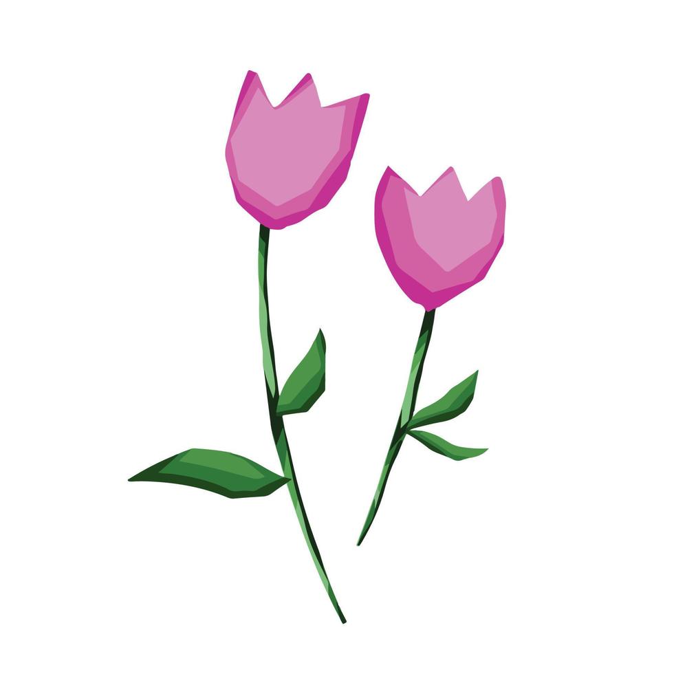 rosafarbene einfache Tulpendoppelblumen-Vektorillustration lokalisiert auf weißem Hintergrund. Cartoon-Natur-Kunststil mit einfachen und flachen Farben. vektor