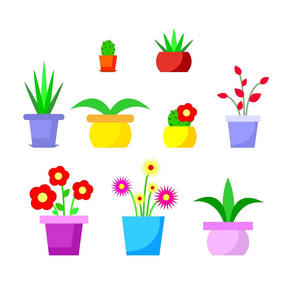 ljus vektor illustration av hus växter, blomma krukor, uppsättning inomhus- växter, blommor och kaktusar, hand teckning