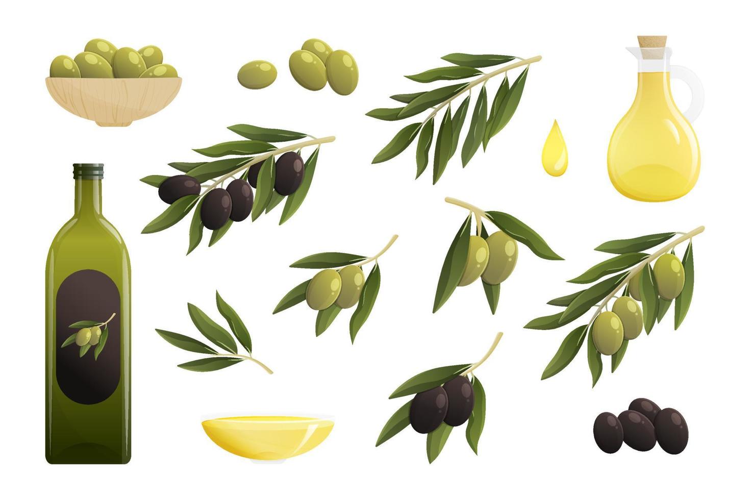 oliv olja tecknad serie uppsättning. flaska av olja, grön och svart oliv gren, släppa av olja. vektor illustration