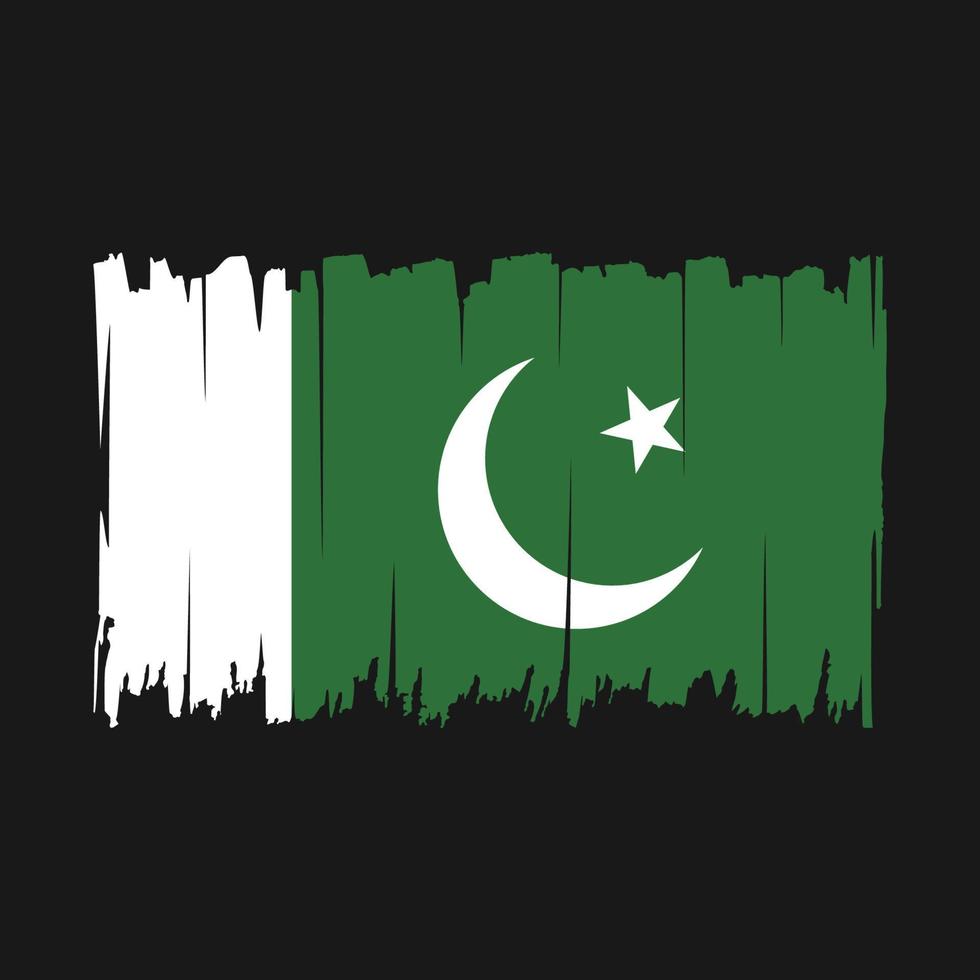 pakistan-flaggenpinsel-vektorillustration vektor