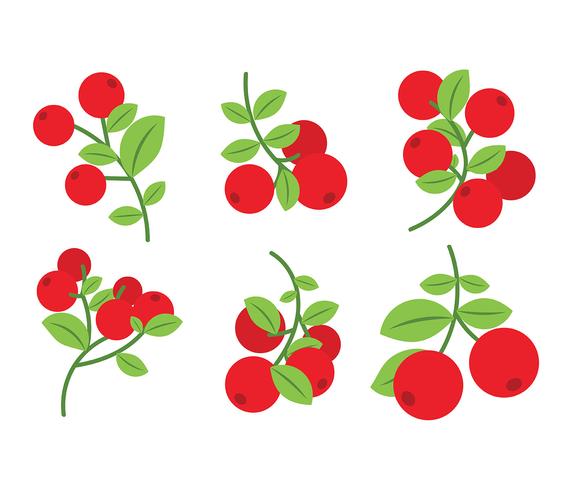 Preiselbeeren-Vektor-Icons vektor