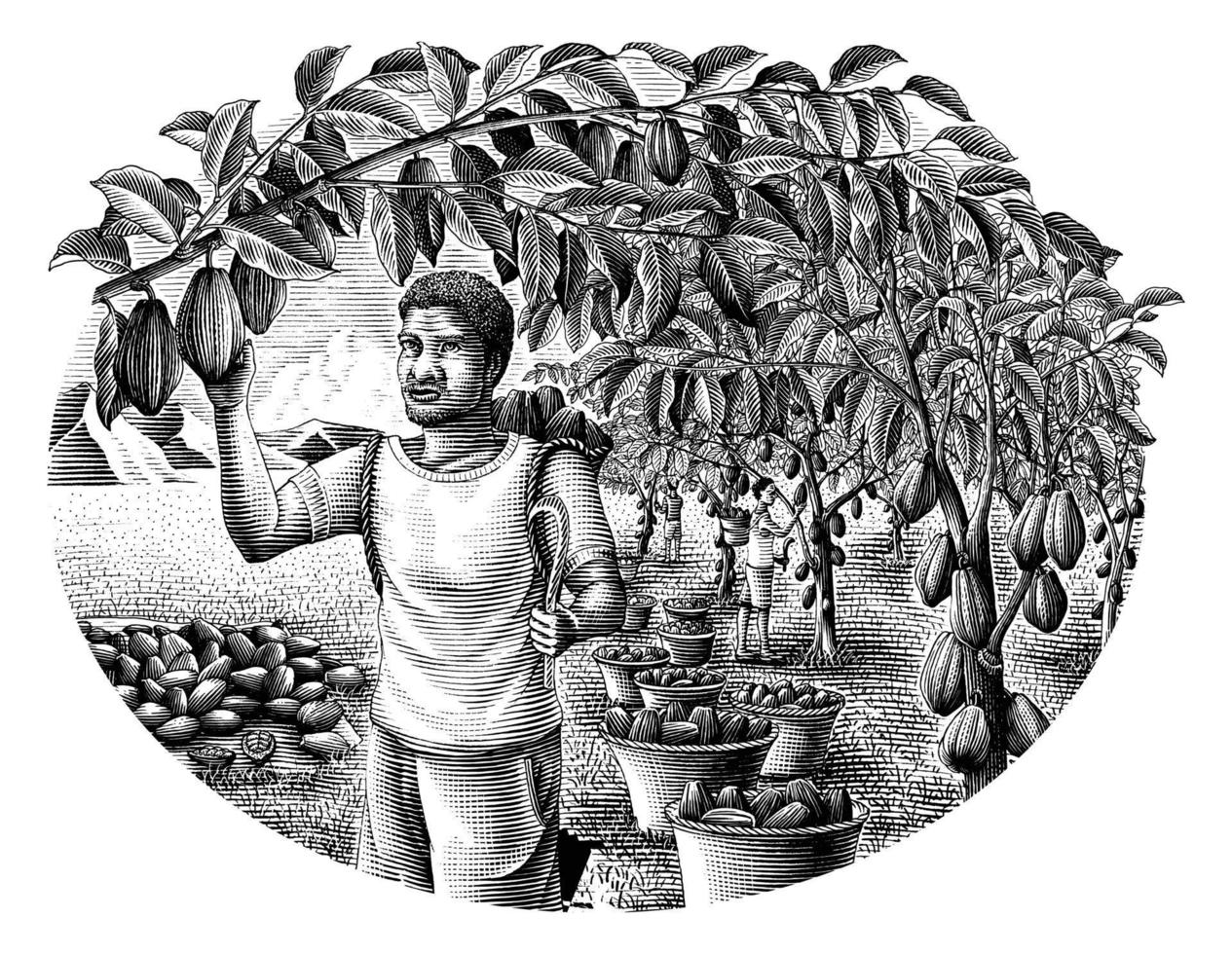 jordbrukare med kakao hand teckning gravyr stil klämma konst vektor
