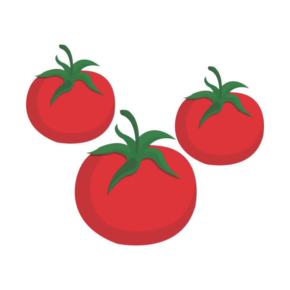 Vektordesign für frische Tomaten vektor