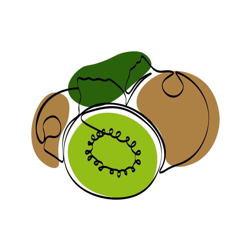 kontinuierliche einzeilige zeichnung kiwi. Vektor-Illustration. schwarze Strichzeichnungen auf weißem Hintergrund mit bunten Flecken. Cartoon-Kiwi isoliert auf weißem Hintergrund. veganes Konzept vektor