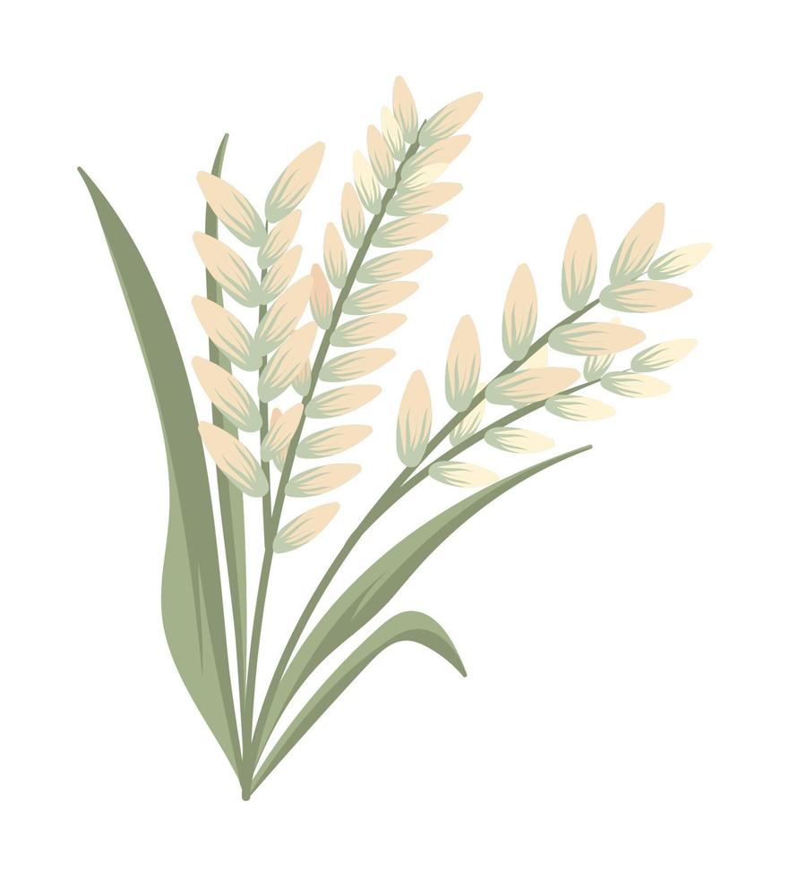 ris grenar och blad vektor