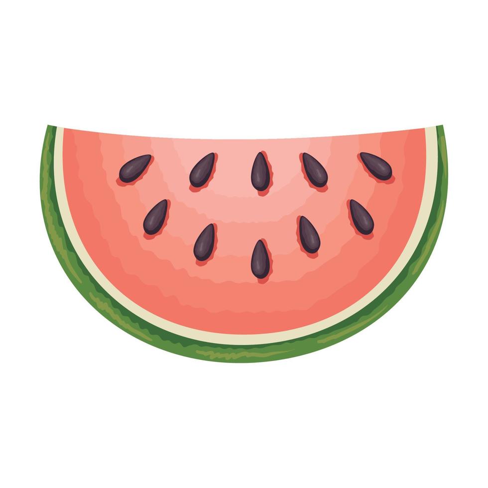 färsk vattenmelon frukt friska vektor