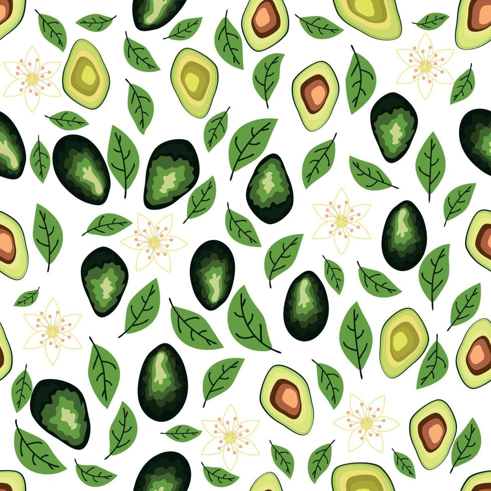 Avocado Musterdesign. ganze und geschnittene Avocado mit Blättern und Blüten. vektor