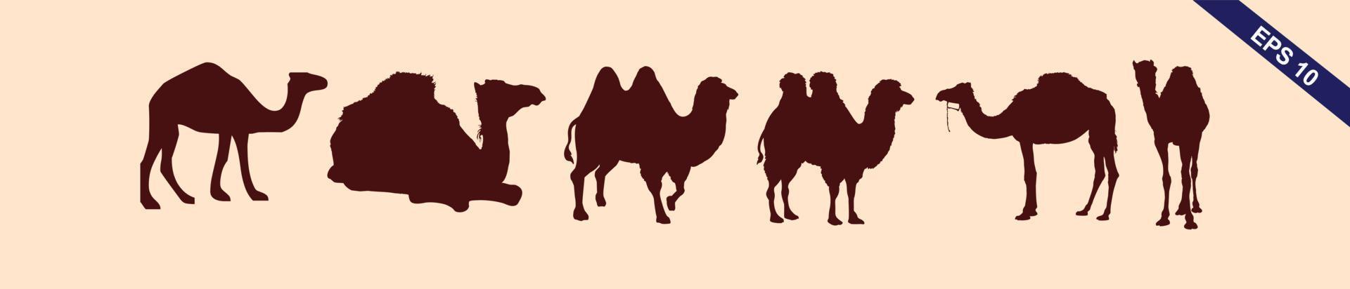 kamel silhuetter. vektor bild i brun