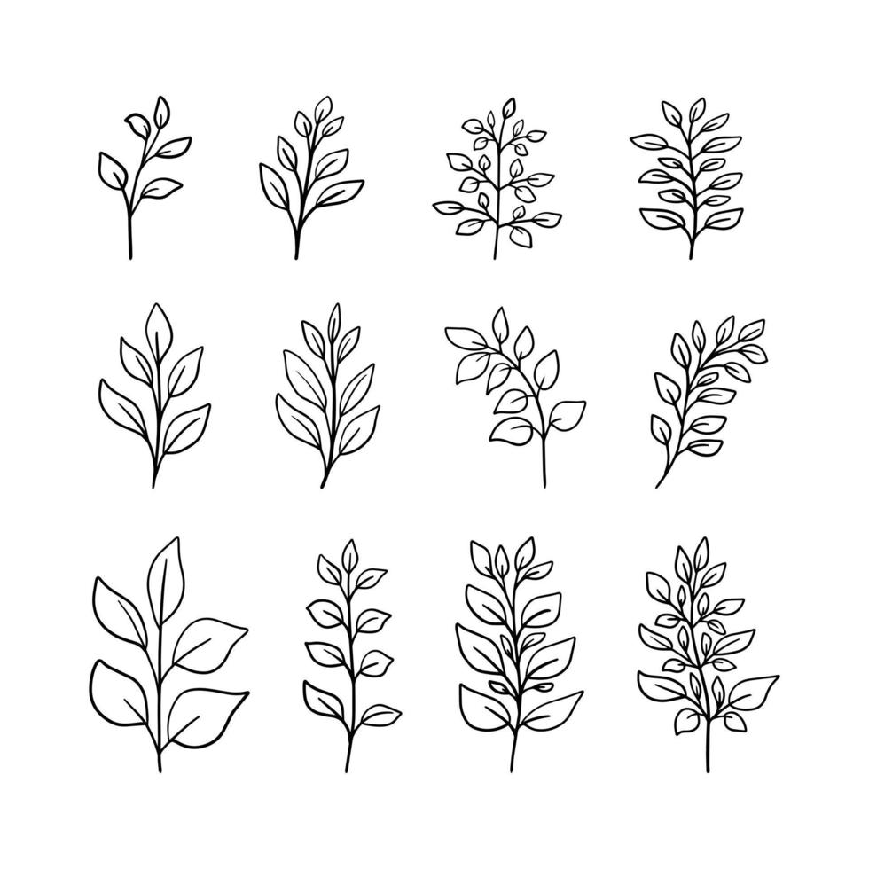 uppsättning av hand dragen ört- klotter ClipArt. minimalistisk grenar, löv för logotyp eller tatuering, bröllop ört. botanisk rustik grönska. träd konst design. isolerat på vit bakgrund. vektor