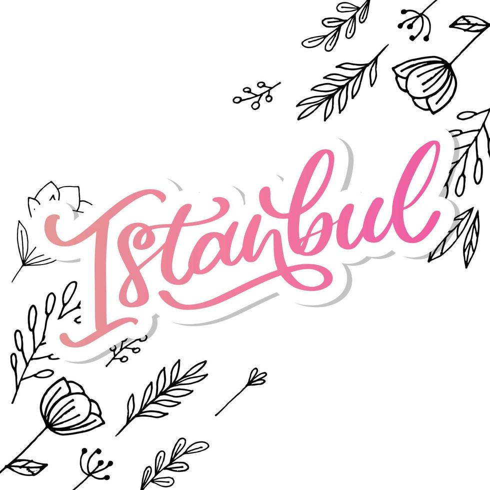 istanbul. hand bokstäver. vektor logotyp för istanbul i svart färg med måsar på vit bakgrund. souvenirprodukter, banneremblem, reseblogg sociala medier, broschyr, flyer. digital illustration.