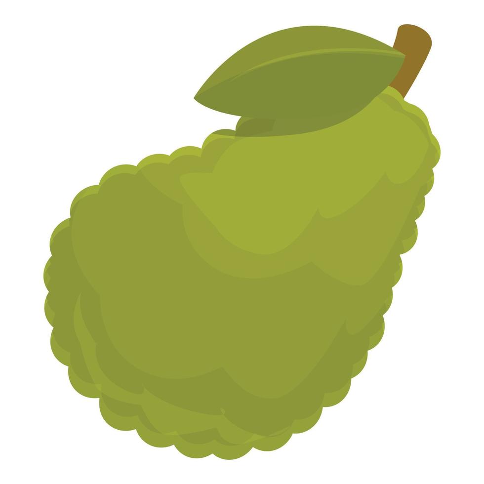 grüner jackfrucht-ikonen-karikaturvektor. Bio-Obst vektor