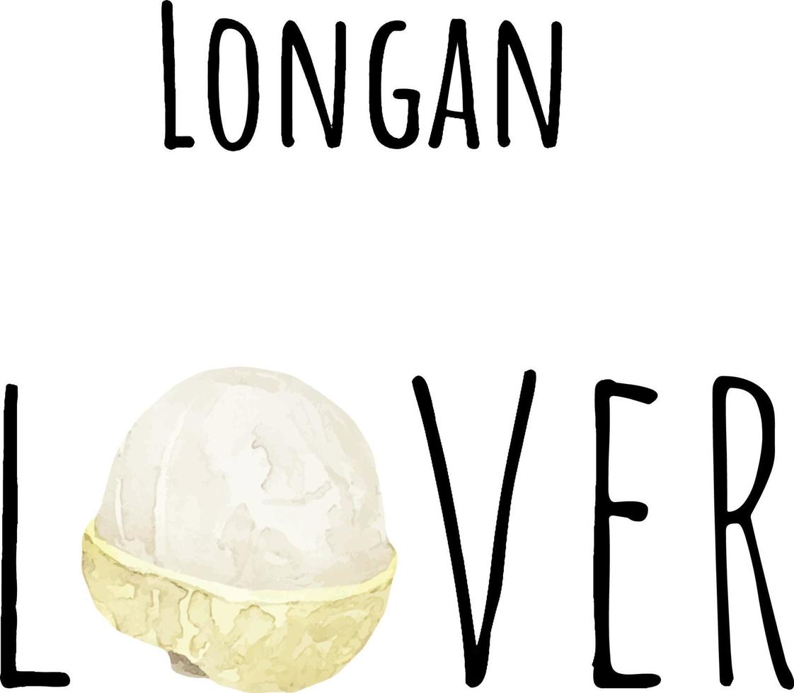 vattenfärg illustration av longan. färsk rå frukt. longan älskare illustration vektor