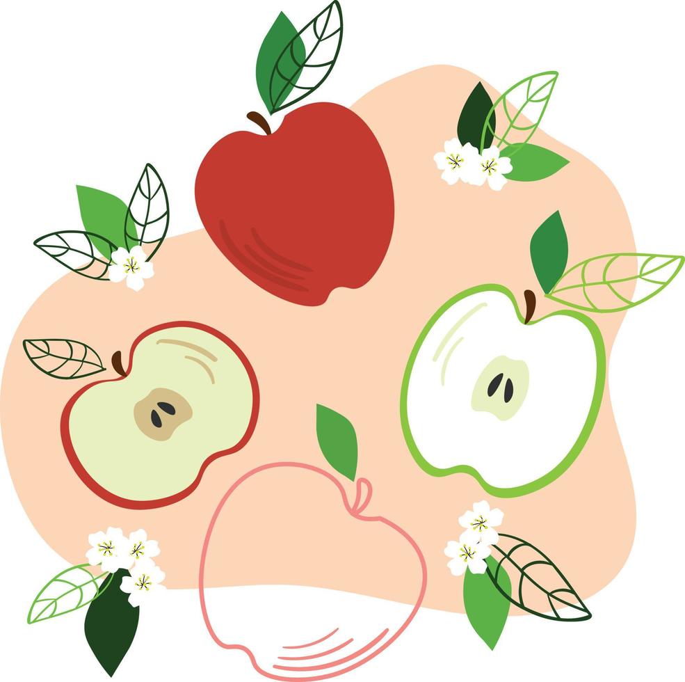 uppsättning av enkel äpplen kort med äpplen. vektor