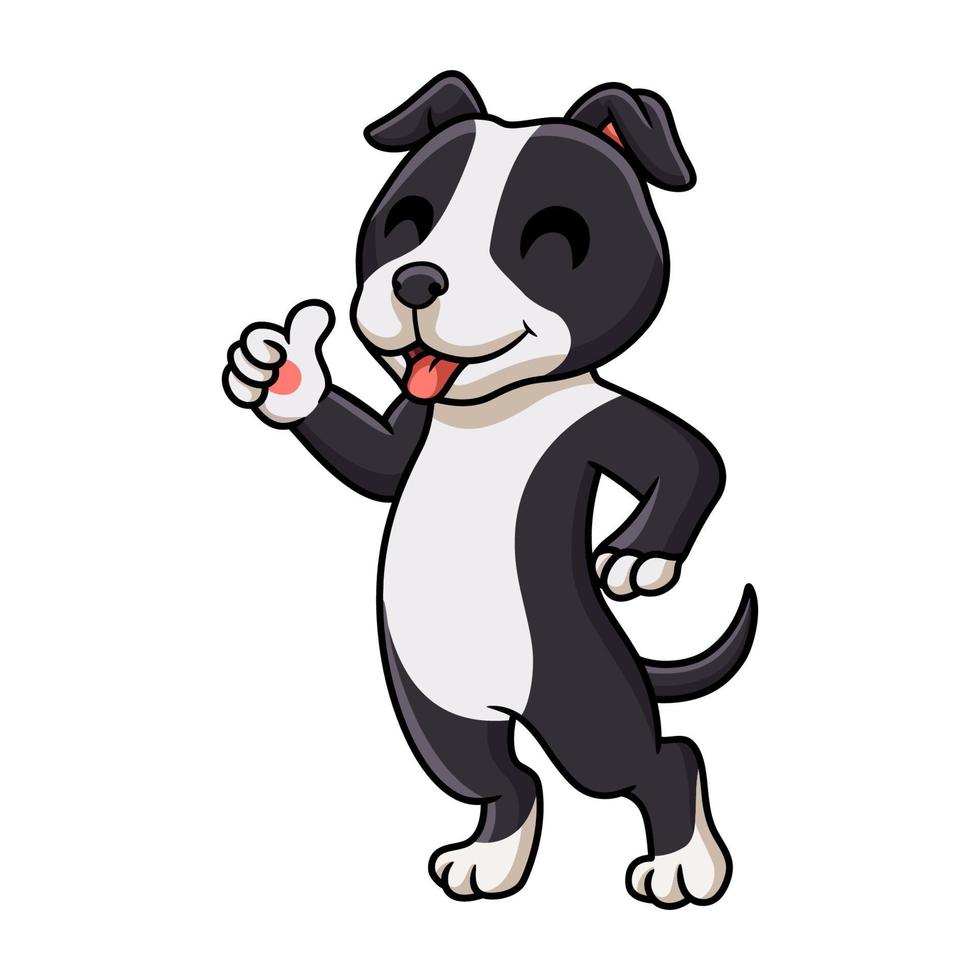 söt amerikan Staffordshire terrier hund tecknad serie ger tumme upp vektor