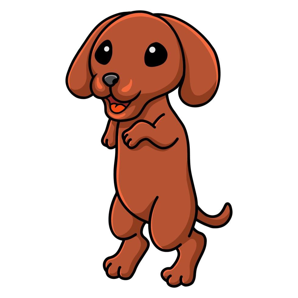 niedliche dachshund-hundekarikaturaufstellung vektor