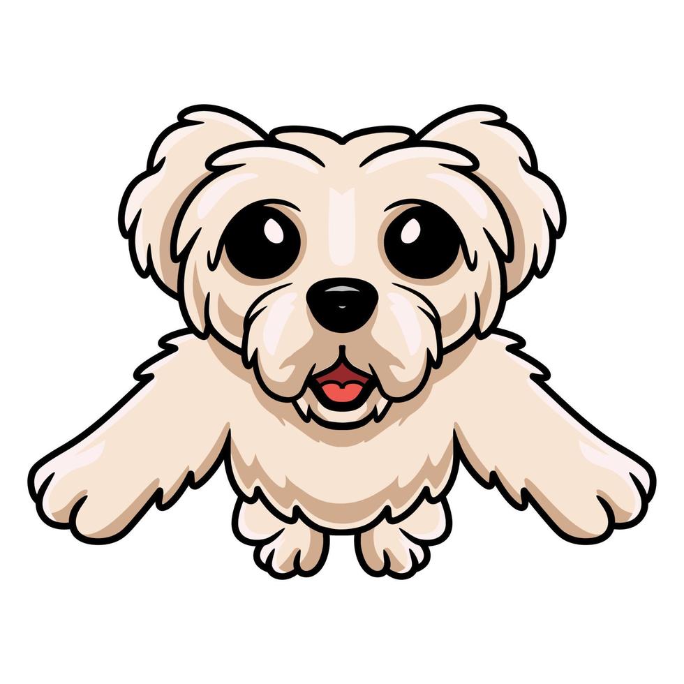 söt maltese valp hund tecknad serie innehav tom tecken vektor