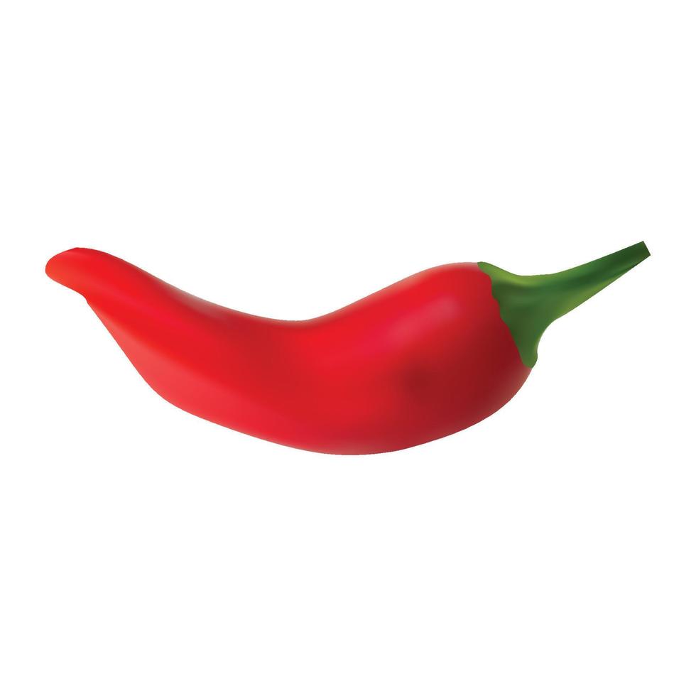 röd varm naturlig chili peppar pod realistisk vektor illustration. design för livsmedelsbutik, kulinariska Produkter, krydda och krydda paket.