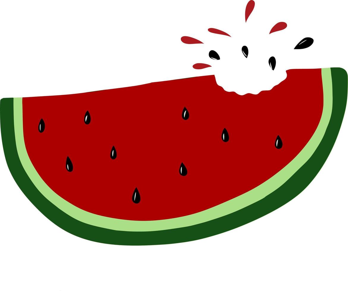 nyligen och utsökt vattenmelon vektor