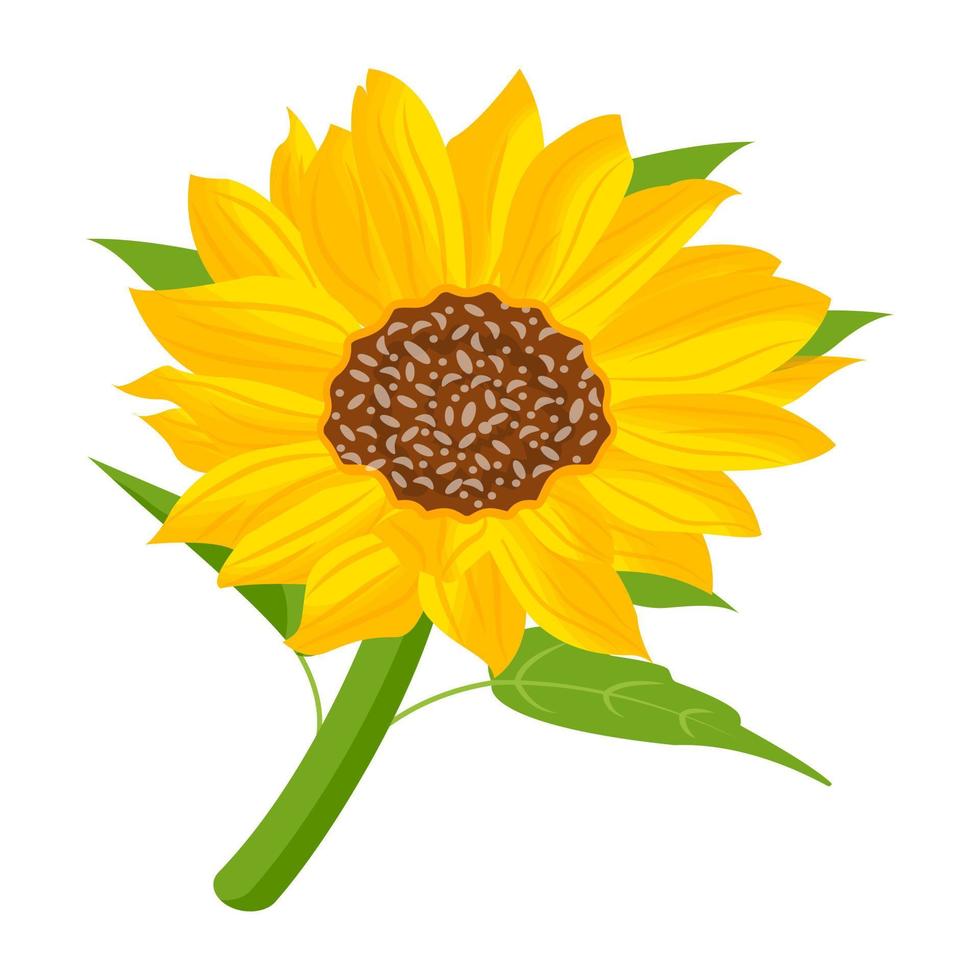 trendige Sonnenblumenkonzepte vektor