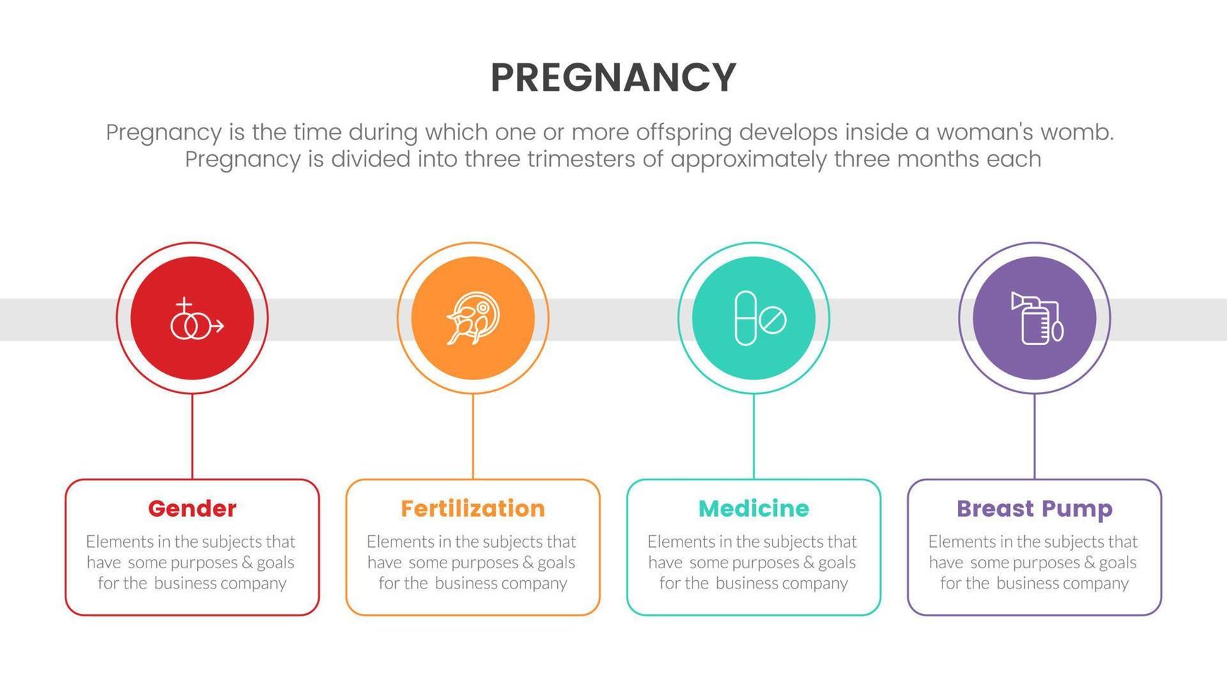 tidslinje av cirkel information för gravid eller graviditet infographic begrepp för glida presentation med 4 punkt lista vektor