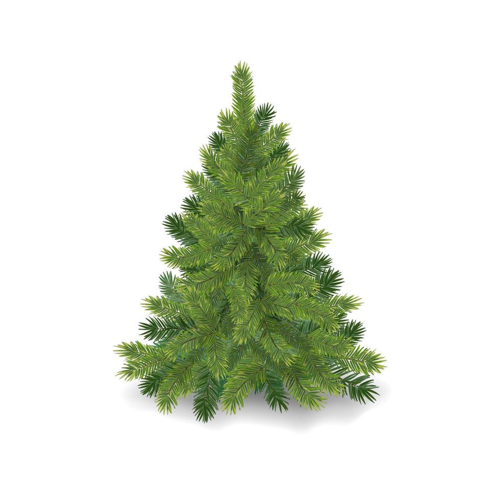 realistischer weihnachtsbaum flauschige grüne kiefer vektor