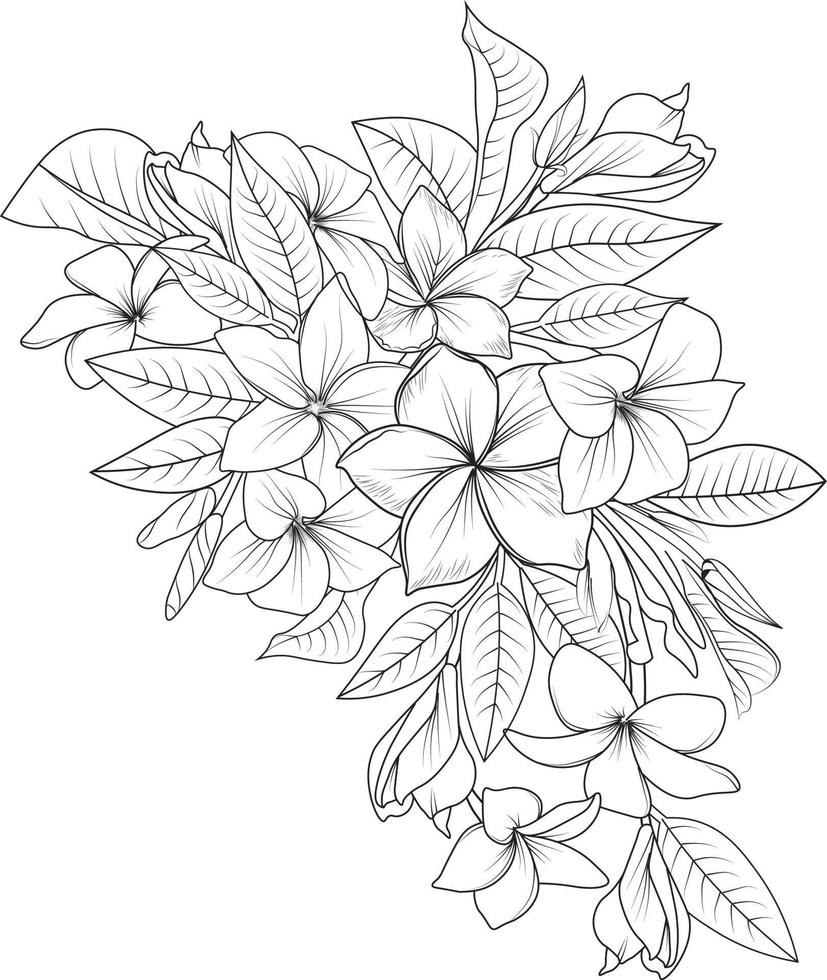 bukett av frangipani blomma hand dragen penna skiss färg sida och bok för vuxna isolerat på vit bakgrund blommig element tatuering, illustration bläck konst. vektor
