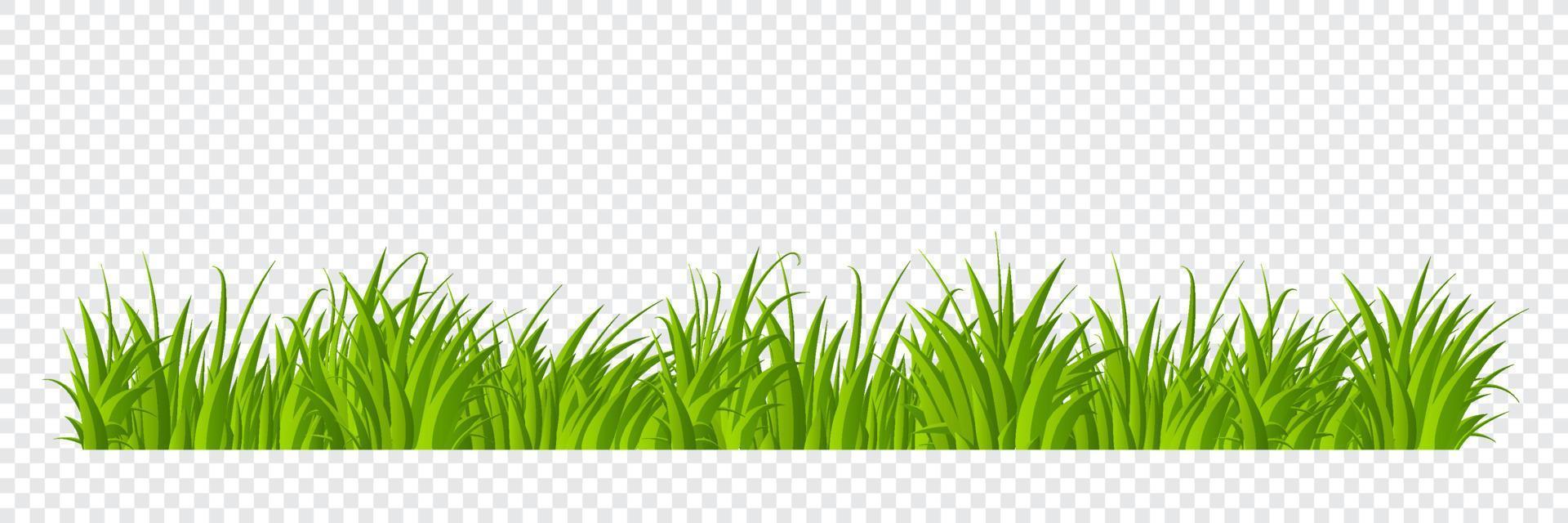 grön gräs gräns platt stil design. tecknad serie sommar grön gräs natur landskap fält. vektor illustration