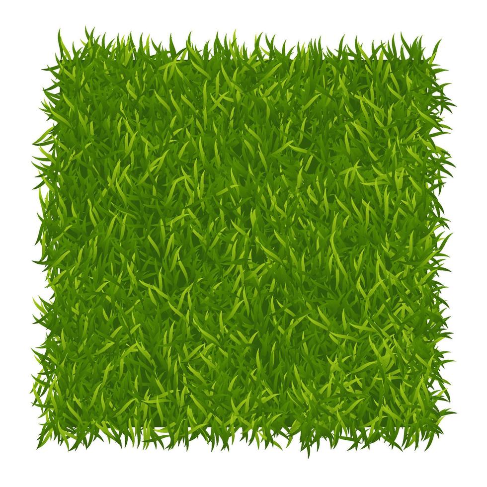 grön gräs bakgrund. gräsmatta natur. abstrakt fält textur. grön gräs textur. vektor illustration