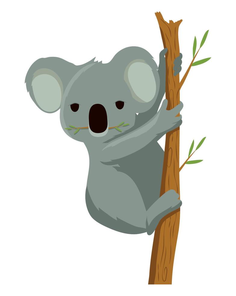 koala australiskt djur vektor
