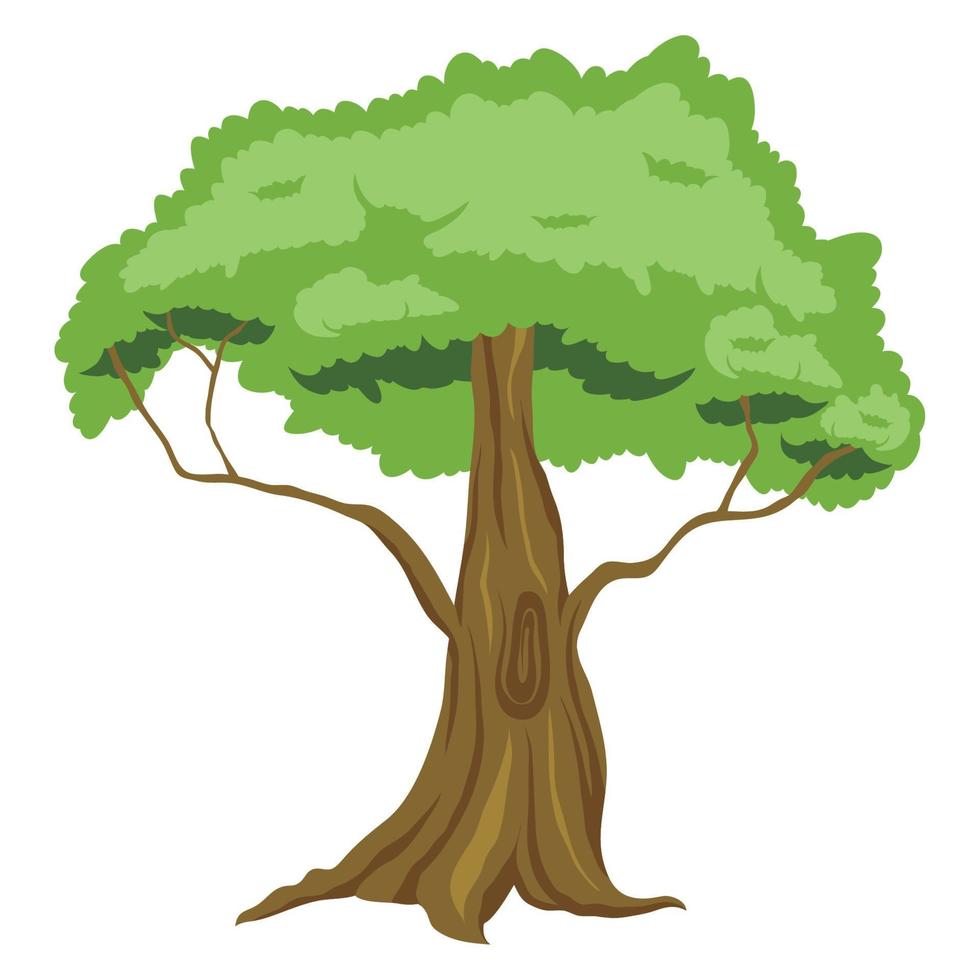 Baumpflanzenwald vektor