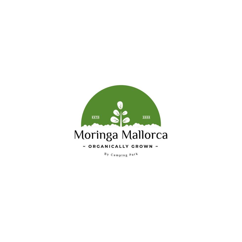 Moringa-Garten-Logo. Moringa-Landwirtschaftslogo-Design. vektor