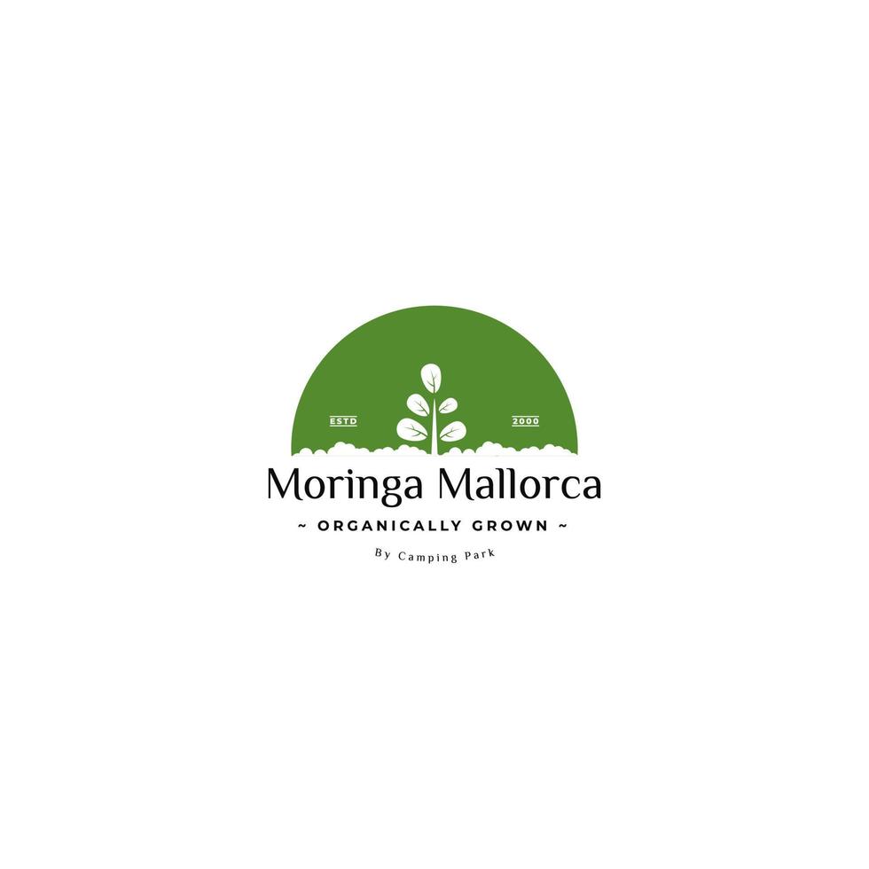 moringa trädgård logotyp. moringa lantbruk logotyp design. vektor