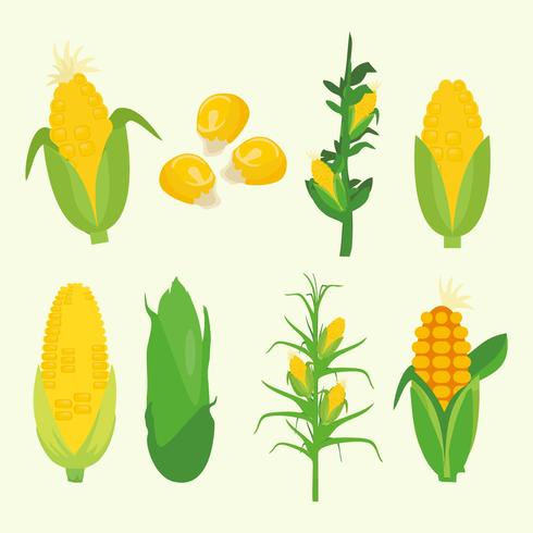 Gratis Corn Plant Vector