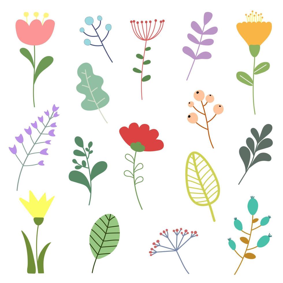 Vektor-Set von floralen Elementen mit handgezeichneten Blumen und Blättern. Blumengrafikdesign. Sammlung von Kräutern und Wildblumen. Illustrationsvektor 10 eps. vektor