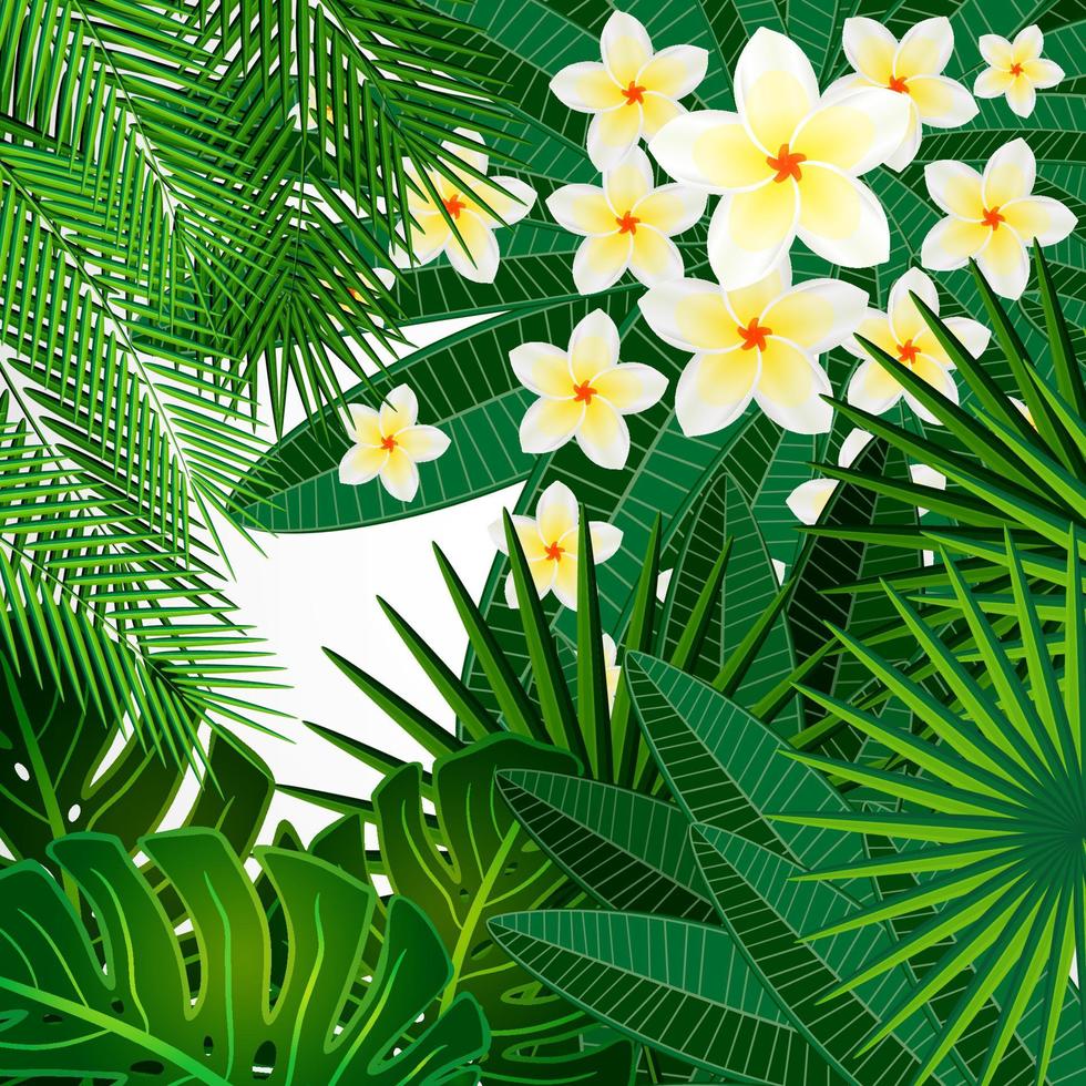 eps10 blommig design bakgrund. plumeria blommor och tropiska blad. vektor