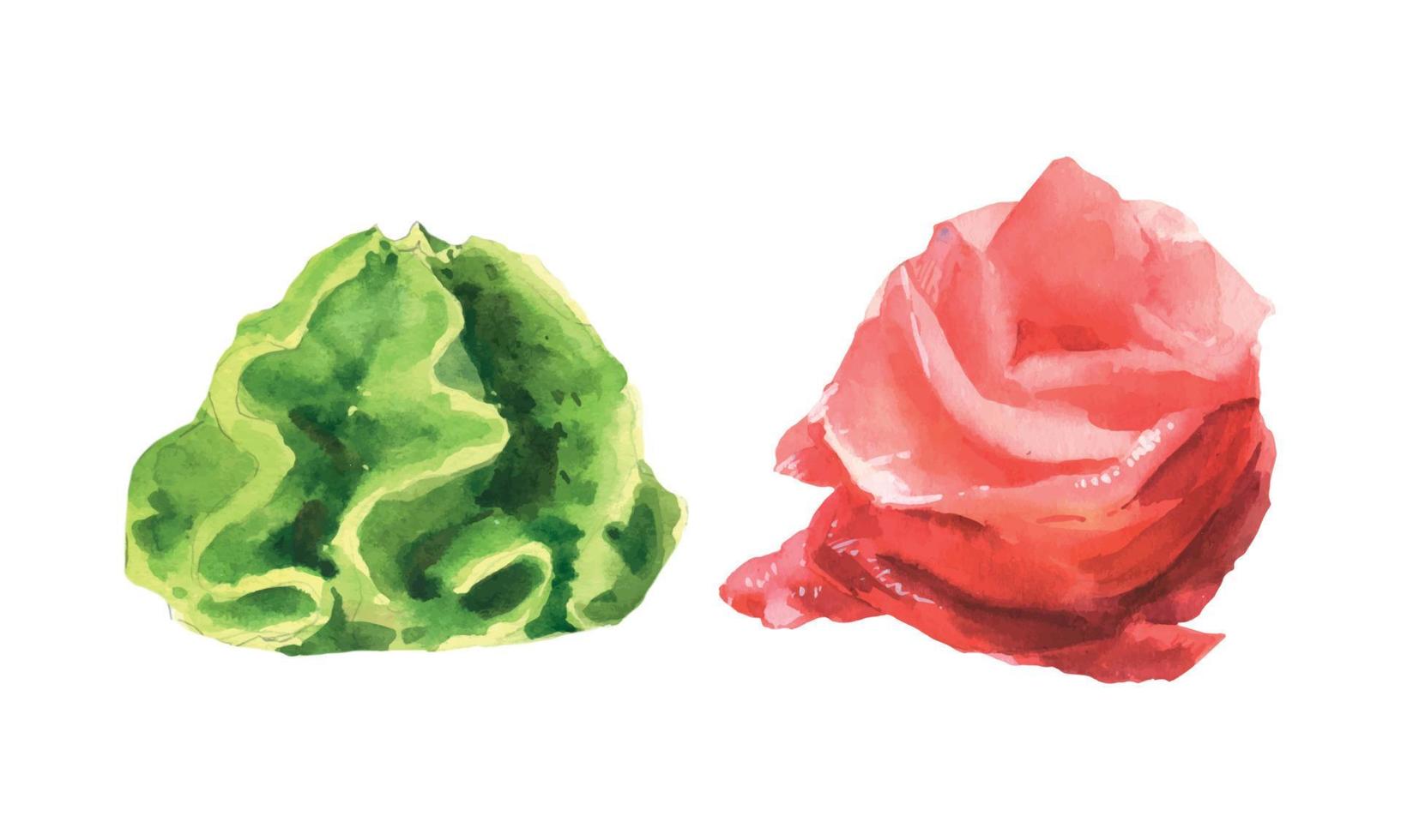 Eingelegter Ingwer und Wasabi, Gewürze für Sushi. Aquarellillustration lokalisiert auf weißem Hintergrund. vektor