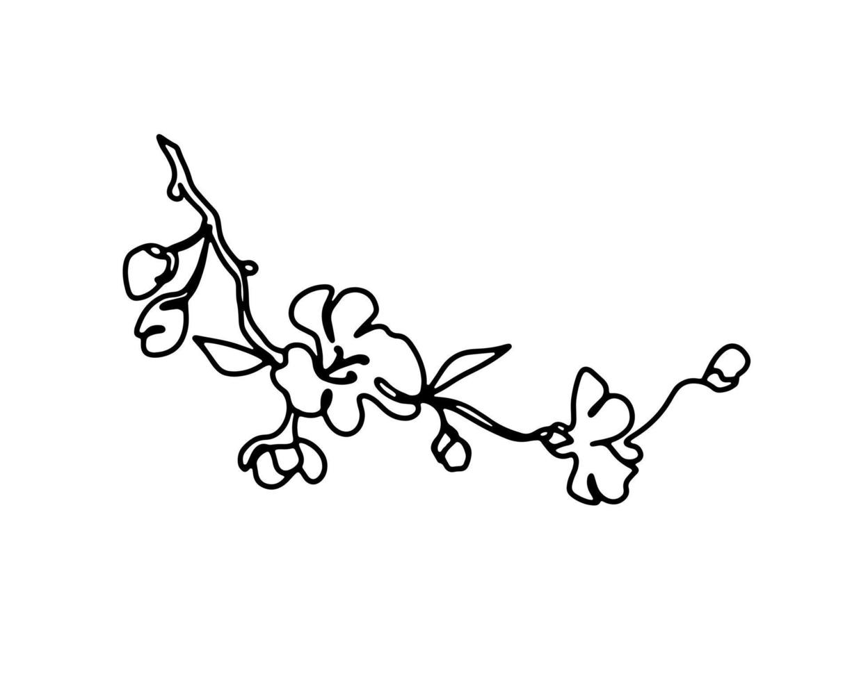 körsbär gren med blommor ett linje konst eller sprimg blomning äpple blomma hand dragen svart och vit översikt vektor illustration