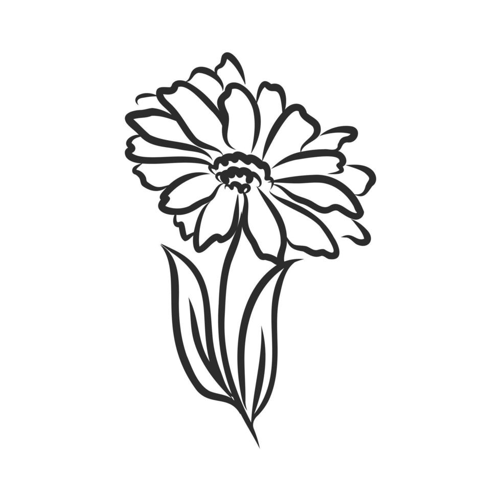 Blumenvektorskizze vektor