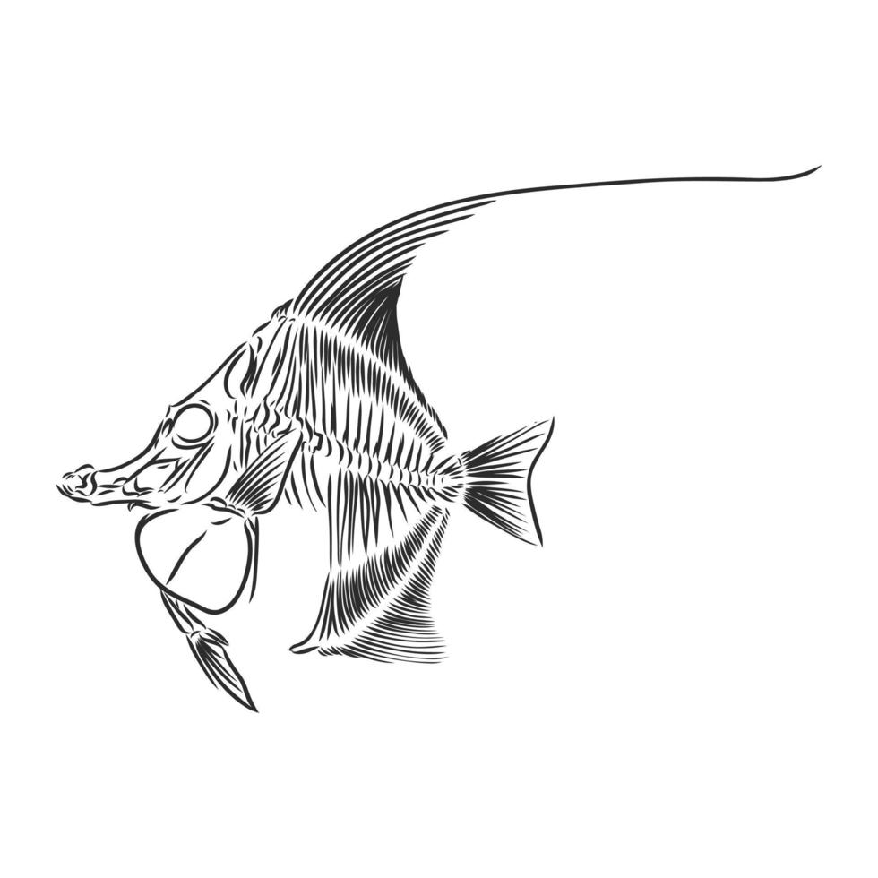 fisk skelett vektor skiss
