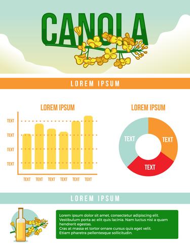 Canola infographic mall vektor