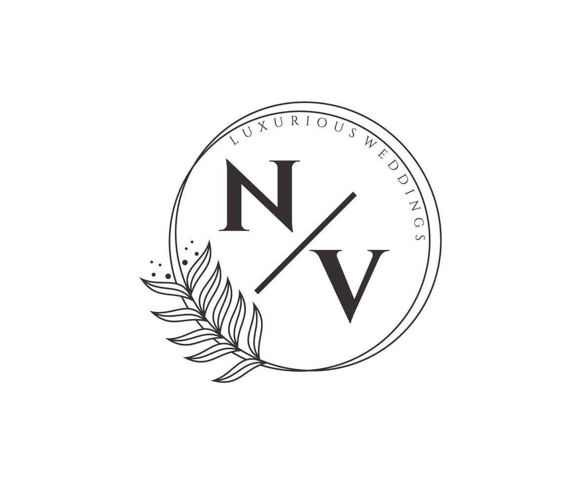 nv initialer brev bröllop monogram logotyper mall, hand dragen modern minimalistisk och blommig mallar för inbjudan kort, spara de datum, elegant identitet. vektor