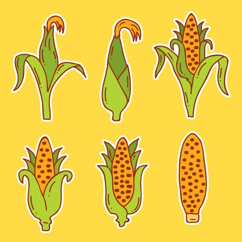 Hand gezeichneter Mais-Vektor vektor