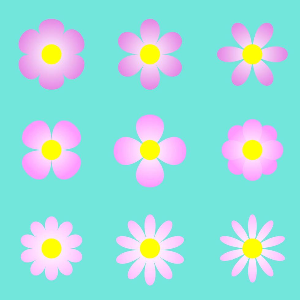 vektor illustration skön rosa blomma uppsättning grön bakgrund, samling daisy blomma kärlek blomma vår