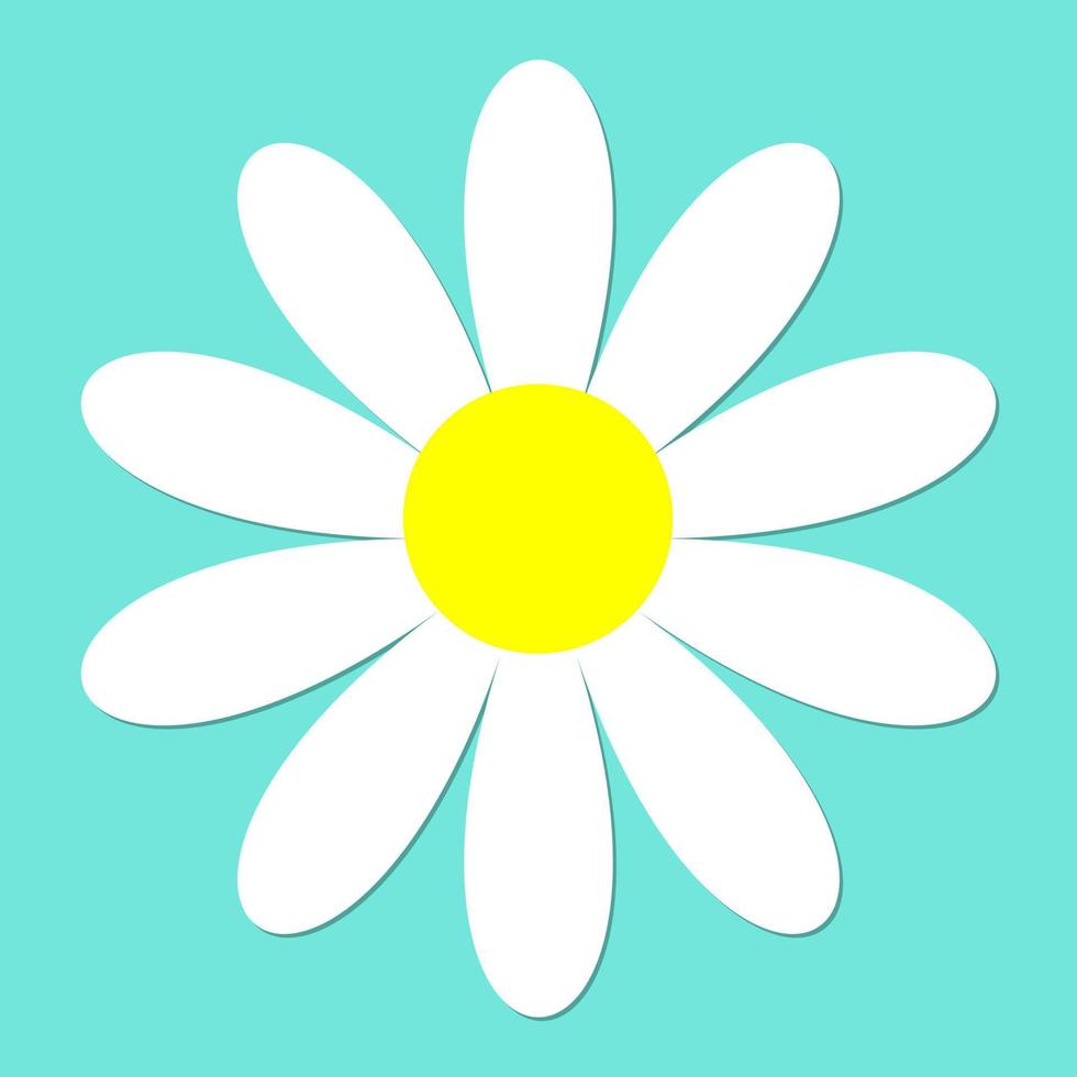 vektor illustration daisy blommor vår grön bakgrund, vacker kamomill blomma isolerat