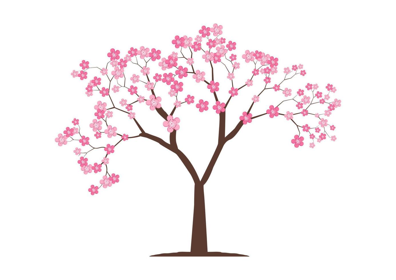 Kirschblütenbaum auf flachem Vektor isoliert auf weißem Hintergrund