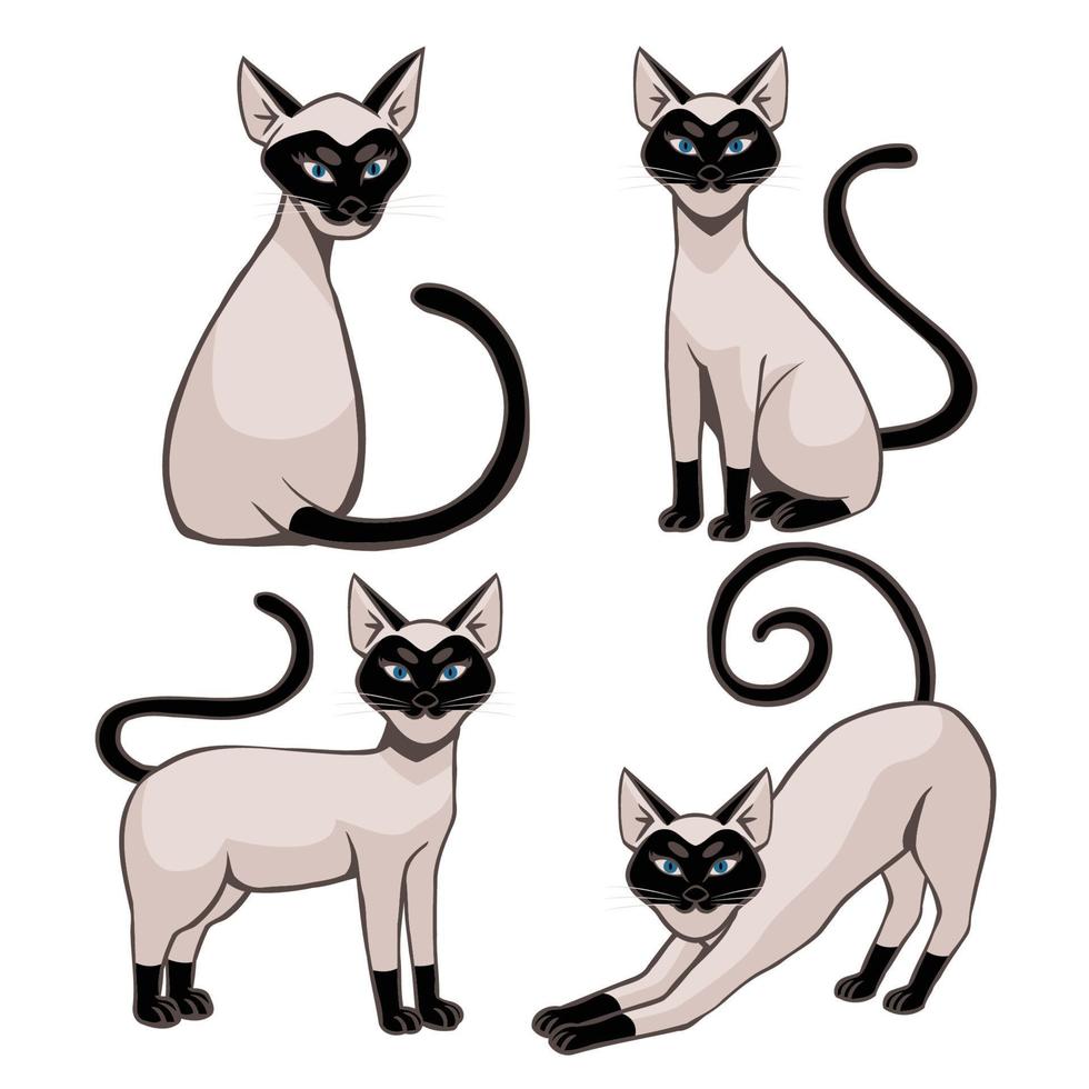 lustige Cartoon-siamesische Katze mit 4 verschiedenen Posen vektor